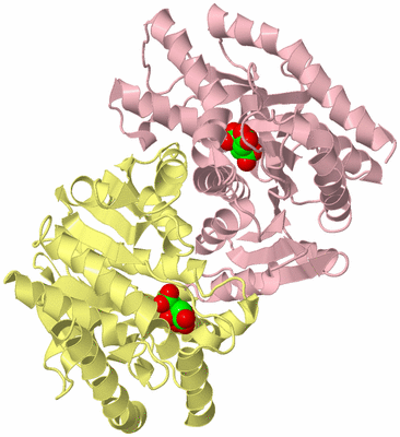 Image Biological Unit 2