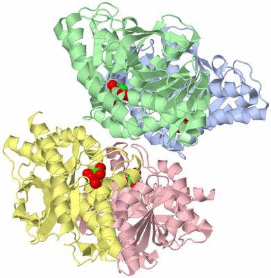 Image Biological Unit 3