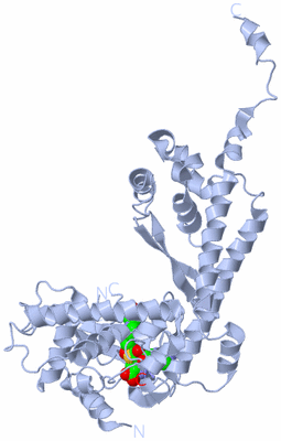 Image Biological Unit 1