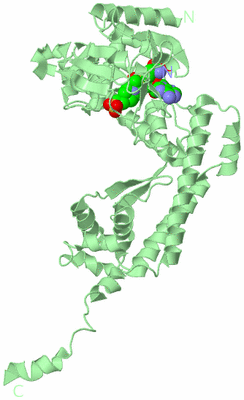 Image Biological Unit 2
