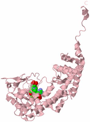 Image Biological Unit 3