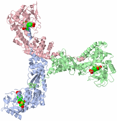 Image Biological Unit 4