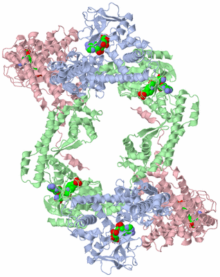 Image Biological Unit 5