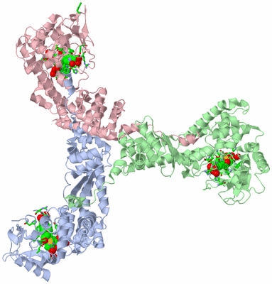 Image Asym. Unit - sites
