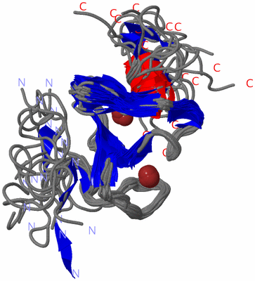 Image NMR Structure - all models