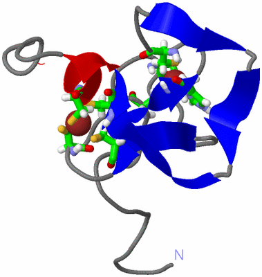 Image NMR Structure - model 1, sites