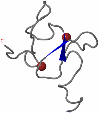 Image NMR Structure - model 1