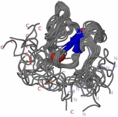 Image NMR Structure - all models