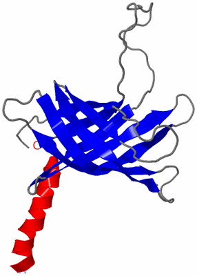 Image NMR Structure - model 1