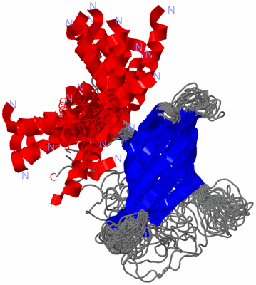 Image NMR Structure - all models