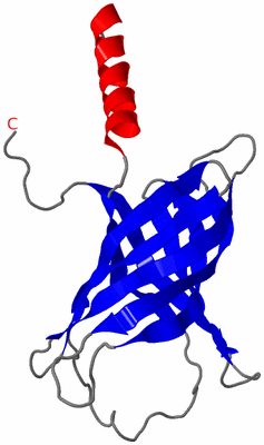 Image NMR Structure - model 1