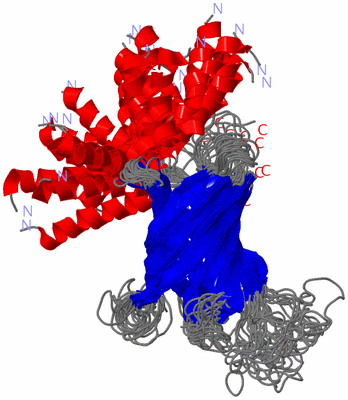 Image NMR Structure - all models