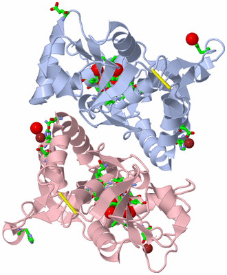 Image Biol. Unit 1 - sites