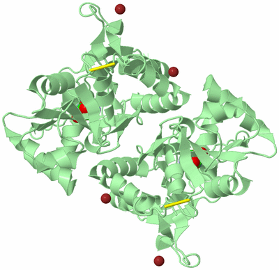 Image Biological Unit 2