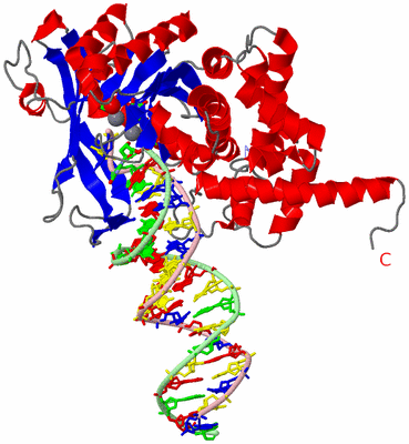 Image Asym. Unit - sites