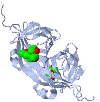 Image Biological Unit 3