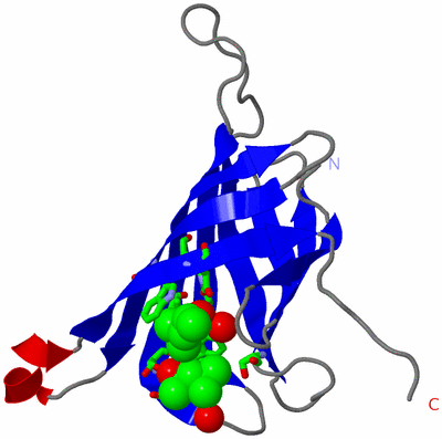 Image Asym. Unit - sites