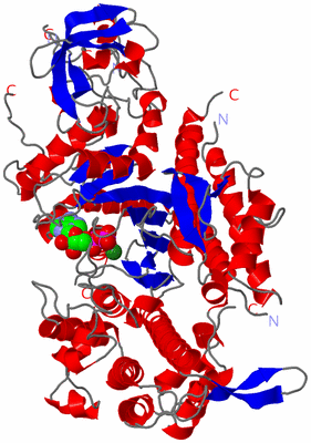 Image Asym./Biol. Unit