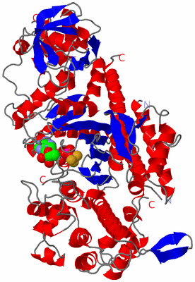 Image Asym./Biol. Unit