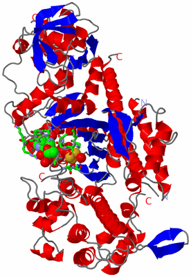 Image Asym./Biol. Unit - sites