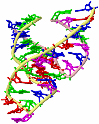 Image Biological Unit 2