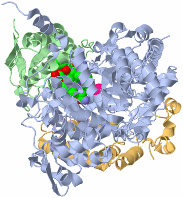 Image Biological Unit 1