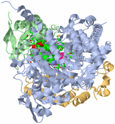 Image Biol. Unit 1 - sites