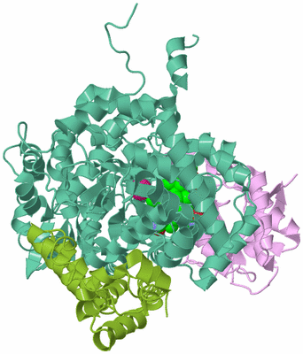 Image Biological Unit 2