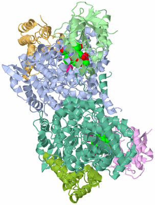 Image Biological Unit 3