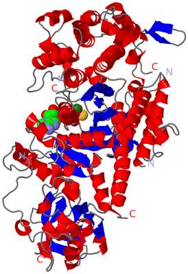 Image Asym./Biol. Unit