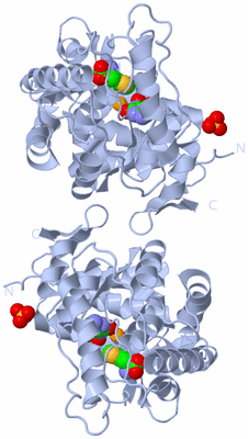 Image Biological Unit 1