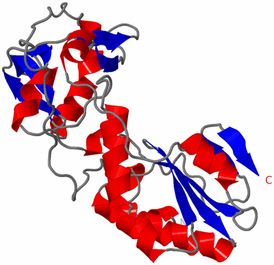 Image Asymmetric Unit