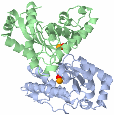 Image Asym./Biol. Unit