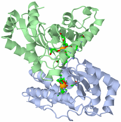 Image Asym./Biol. Unit - sites