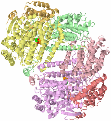 Image Asym./Biol. Unit