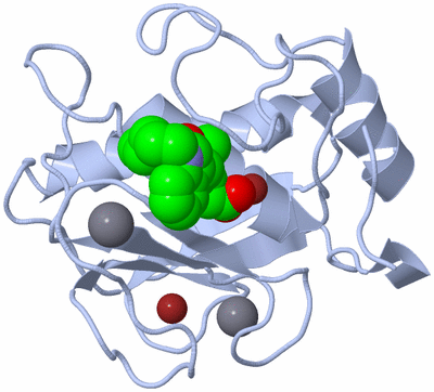 Image Biological Unit 1