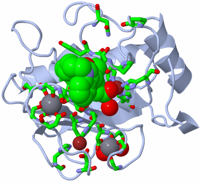 Image Biol. Unit 1 - sites