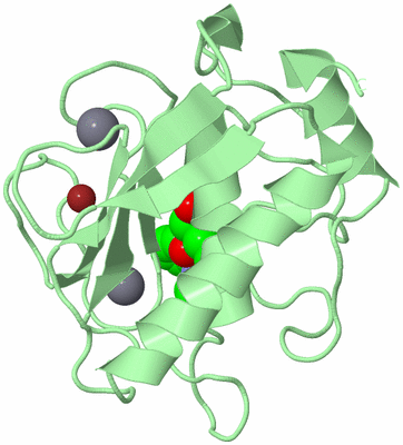 Image Biological Unit 2