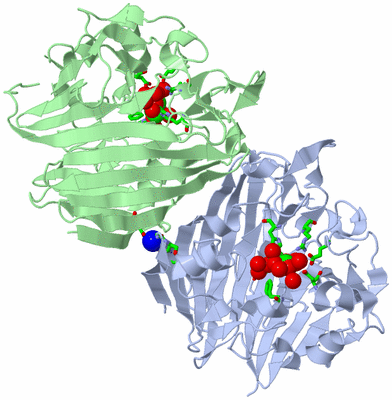 Image Asym./Biol. Unit - sites