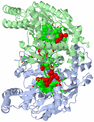 Image Asym./Biol. Unit - sites