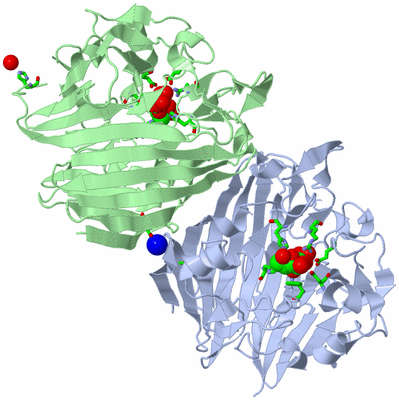 Image Asym./Biol. Unit - sites