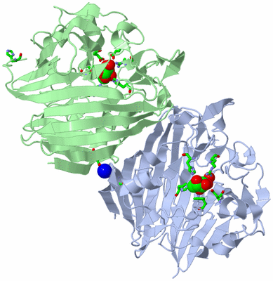 Image Asym./Biol. Unit - sites