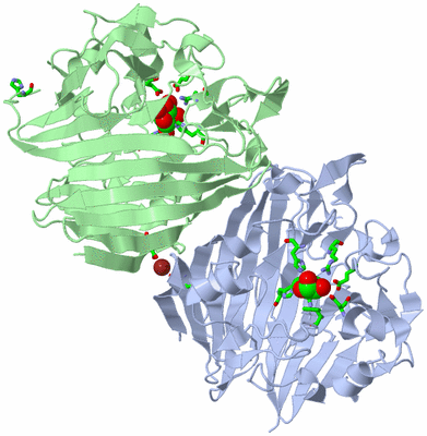 Image Asym./Biol. Unit - sites