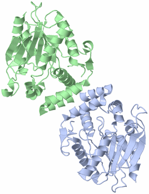 Image Asym./Biol. Unit