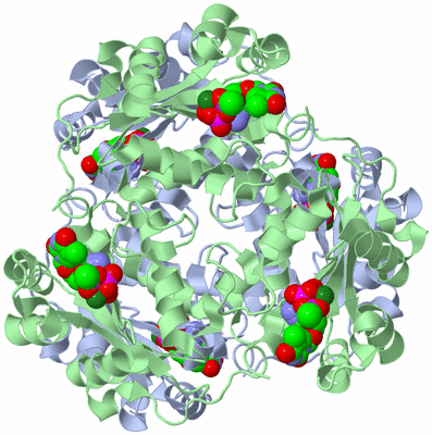 Image Biological Unit 1