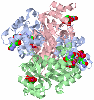 Image Biological Unit 1