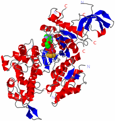 Image Asym./Biol. Unit