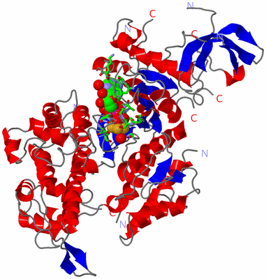 Image Asym./Biol. Unit - sites