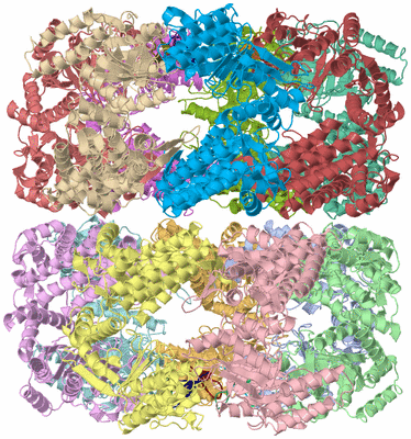 Image Asym./Biol. Unit