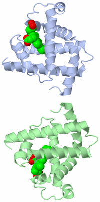 Image Asymmetric Unit